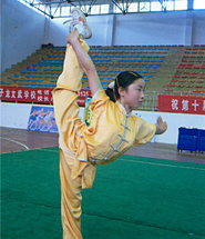 國(guó)際武術(shù)搏擊氣功教練班收費(fèi)標(biāo)準(zhǔn)